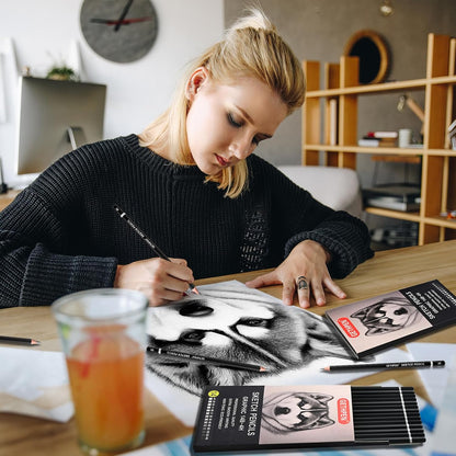 Drawing Sketching Pencil Set, 24 Piece Pro Artist Sketch Kit - Graphite Pencils (12B-4H),Charcoal Pencils for Drawing,Black and White Charcoal Pencils,Charcoal Sticks,Stumps,Eraser,Sharpeners