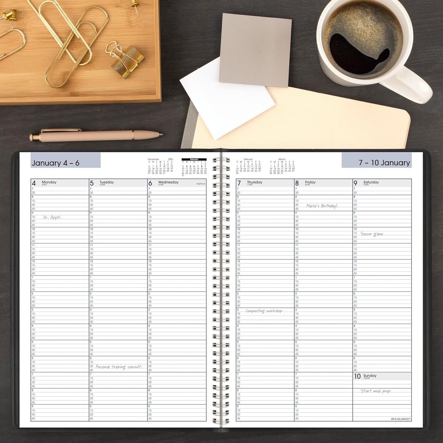 AT-A-GLANCE 2026 Appointment Book Planner, Weekly, 8" x 11", Large, Quarter-Hourly, DayMinder, Black (G5200026)
