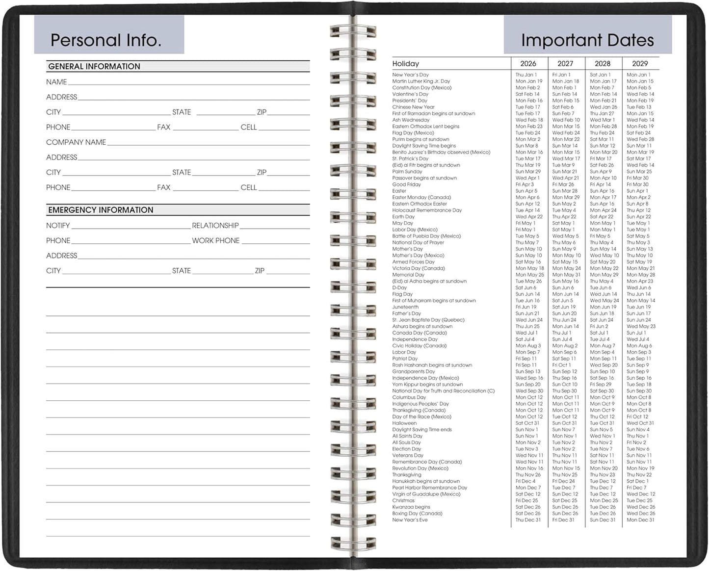 AT-A-GLANCE 2026 Appointment Book Planner, Weekly, 5" x 8", Small, DayMinder, Black (G2000026)