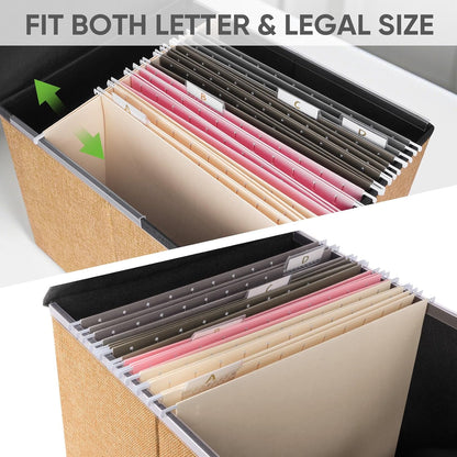 BALEINE File Organizer Box with Lid, Collapsible File Folder Organizer with Plastic Slide, Hanging File Folder Box for Office Document Storage (1 Pack, Black)