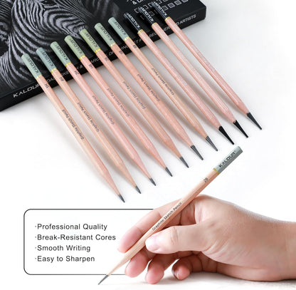 KALOUR 29 Pro Sketching Drawing Pencils Set with Roll-Up Nylon Case – 14 Graphite Pencils (14B–5H), Charcoal Pencils, Erasers, Sharpener & Stumps – Complete Art Kit for Artists & Beginner