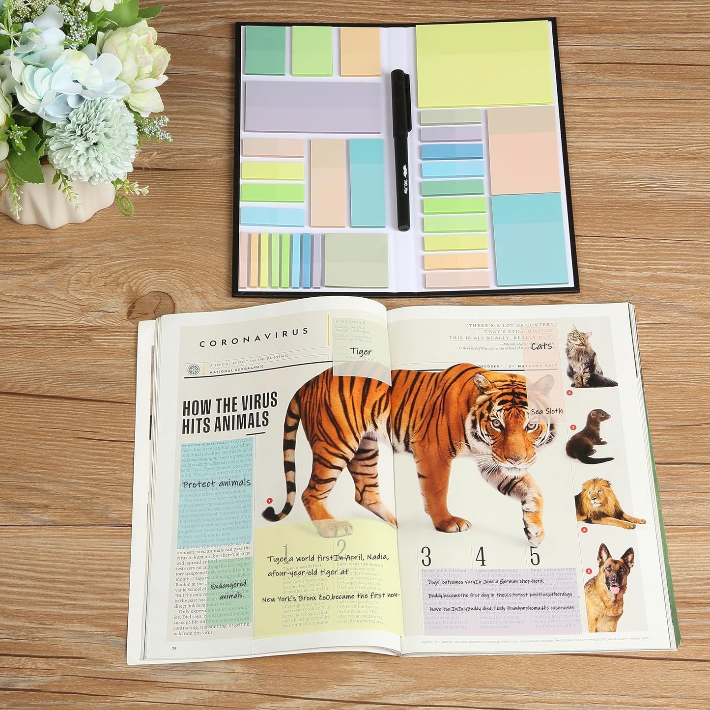 Mr. Pen- Transparent Sticky Notes Set, 1650 Sheets, Transparent Sticky Notes Tabs for Bible Study, Office, School, Planning, Journaling & Organization