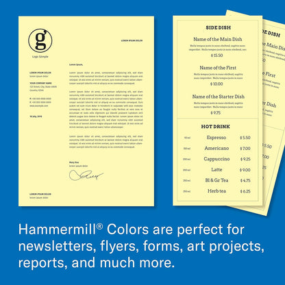 Hammermill Colored Paper, 20 lb Tan Printer Paper, 8.5 x 11-10 Ream (5,000 Sheets) - Made in the USA, Pastel Paper, 102863C
