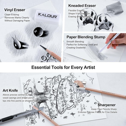 KALOUR 29 Pro Sketching Drawing Pencils Set with Roll-Up Nylon Case – 14 Graphite Pencils (14B–5H), Charcoal Pencils, Erasers, Sharpener & Stumps – Complete Art Kit for Artists & Beginner