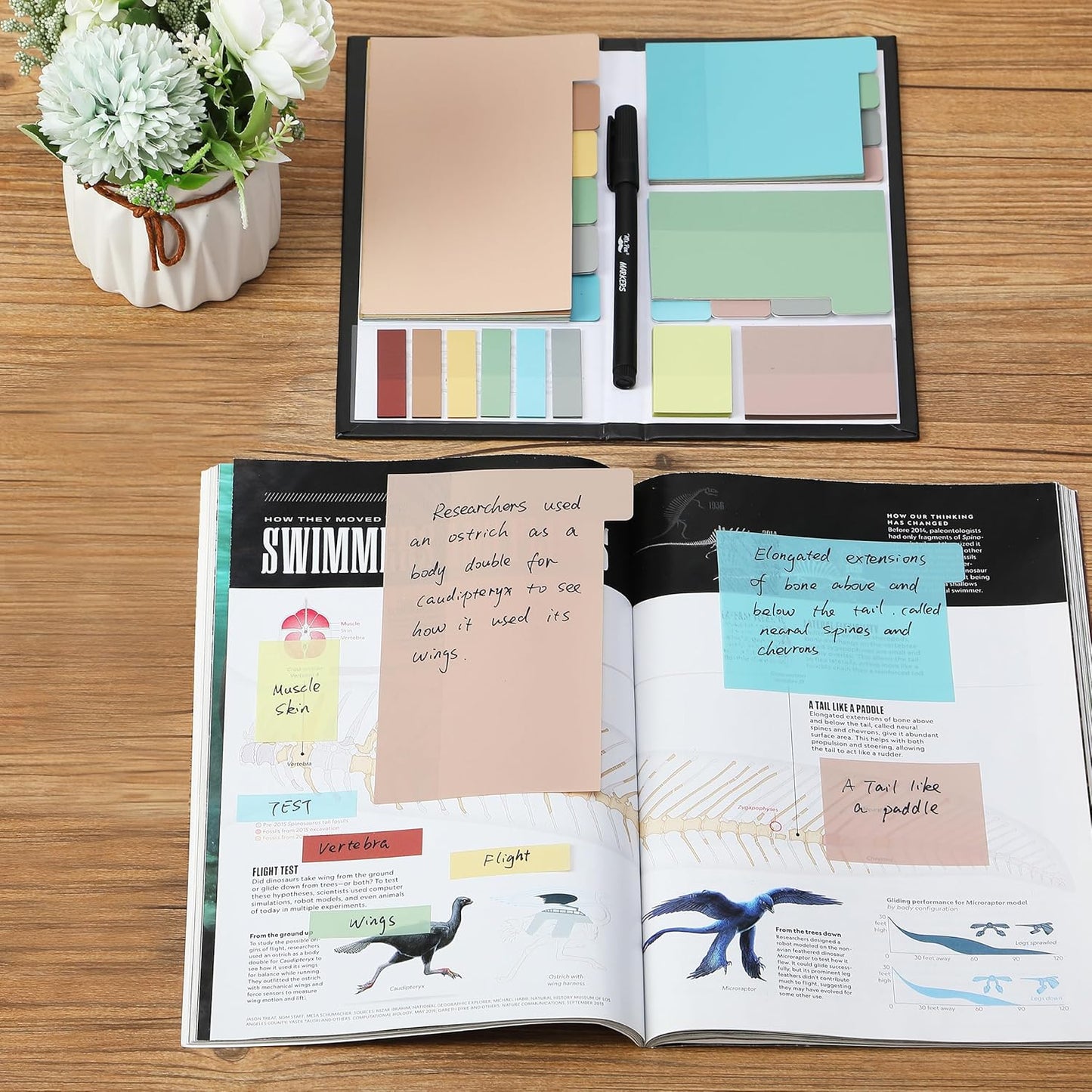 Mr. Pen- Sticky Notes Set, 410 Pack, Ruled, Dotted & Blank Notes with 150 Index Tabs, Divider Sticky Pads for Bible Study, Office, School, Planning, Journaling & Organization