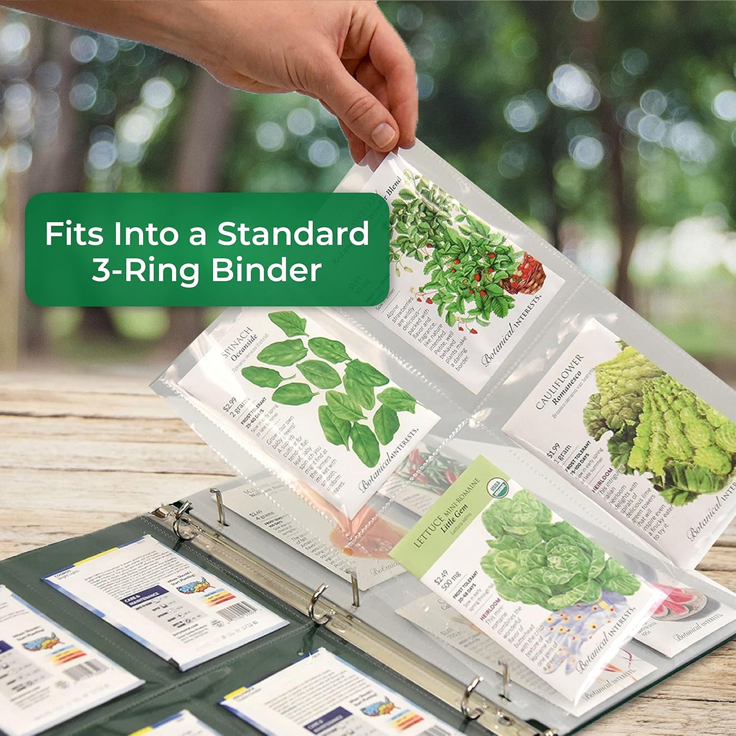 Samsill 50 Pack Heavy Weight 4 Pocket Garden Seeds Storage Clear Sheet Protectors, Seed Organizer, Each Pocket Measures 3.5" x 5.25", Fits in Standard 3 Ring Binder