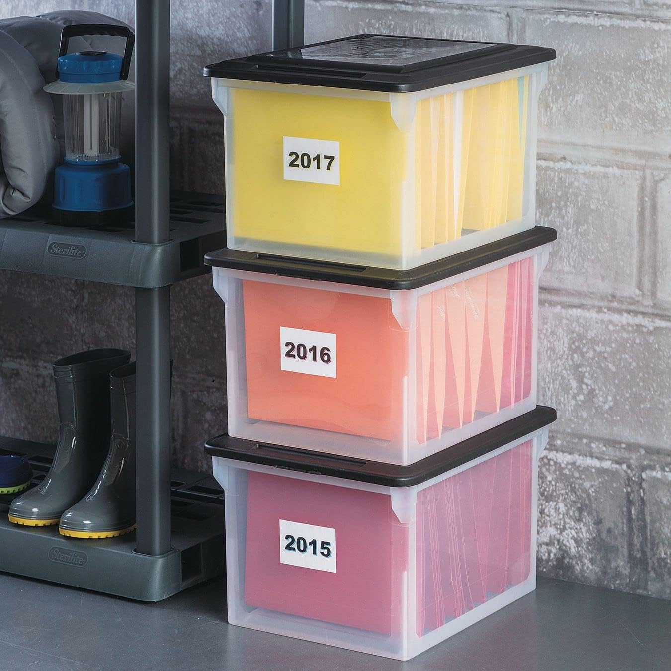 File Box Tote with Lids for Letter and Legal Folders, 8-Pack | Stackable Plastic Document Storage and Paper Organizer for Home, Office, Desk, and Dorm Organization
