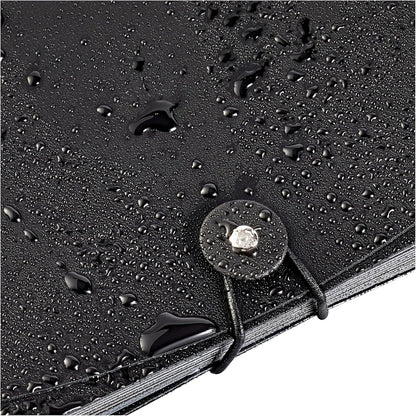 Amazon Basics Expanding Organizer File Folder for Documents, Letter Size, 13 Pockets, Waterproof, Black & Gray, 2-Pack