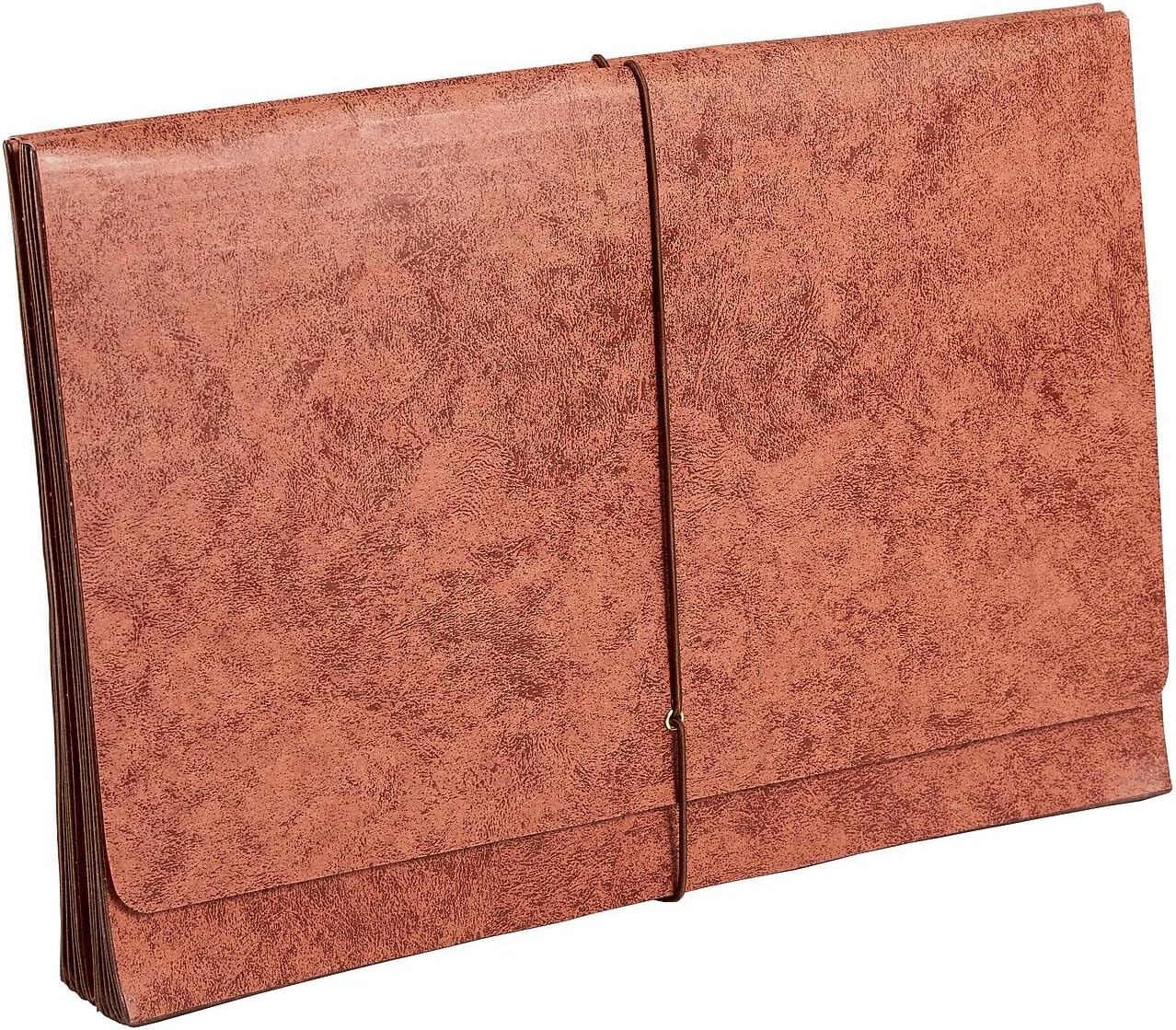 Rip-Proof Heavy-Duty Wallet with Fully Lined Tyvek Gussets, 5 1/4" Expansion, Legal Size, Brown, 2/Pack