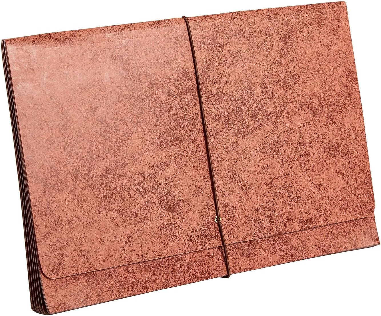 Rip-Proof Heavy-Duty Wallet with Fully Lined Tyvek Gussets, 5 1/4" Expansion, Legal Size, Brown, 2/Pack
